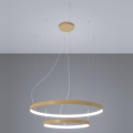 Thoro TH.268 - Lámpara LED colgante RIO LED/80W/230V CRI 95 4000K dorado