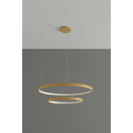 Thoro TH.268 - Lámpara LED colgante RIO LED/80W/230V CRI 95 4000K dorado