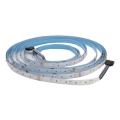 Tira de baño LED RGBW DAISY 5m blanco luz diurna IP65