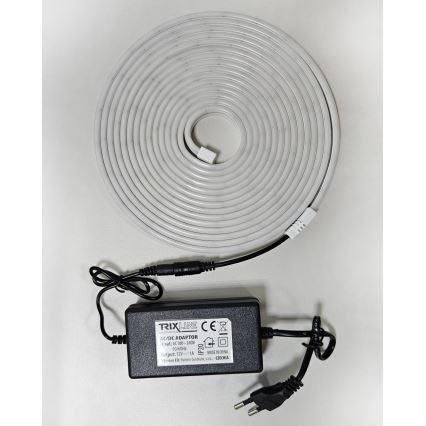 Tira flexible LED NEON LED/10W/230V 5 m IP65 blanco