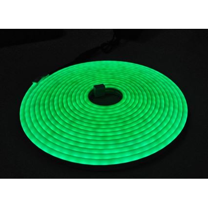 Tira flexible LED NEON LED/10W/230V 5 m IP65 verde