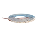 Tira LED DAISY 5m blanco frío