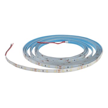 Tira LED de baño DAISY 5m blanco cálido IP65