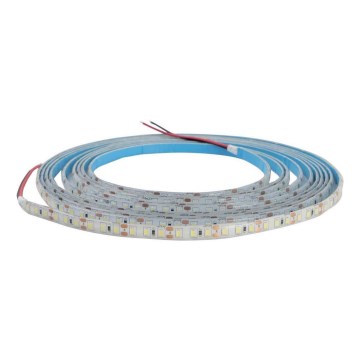 Tira LED de baño DAISY 5m blanco cálido IP65