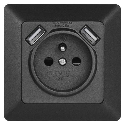 Toma de corriente doméstica con USB 250V/16A antracita