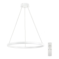 Top Light - Lámpara colgante LED regulable LED/30W/230V 3000-6500K blanco + mando a distancia