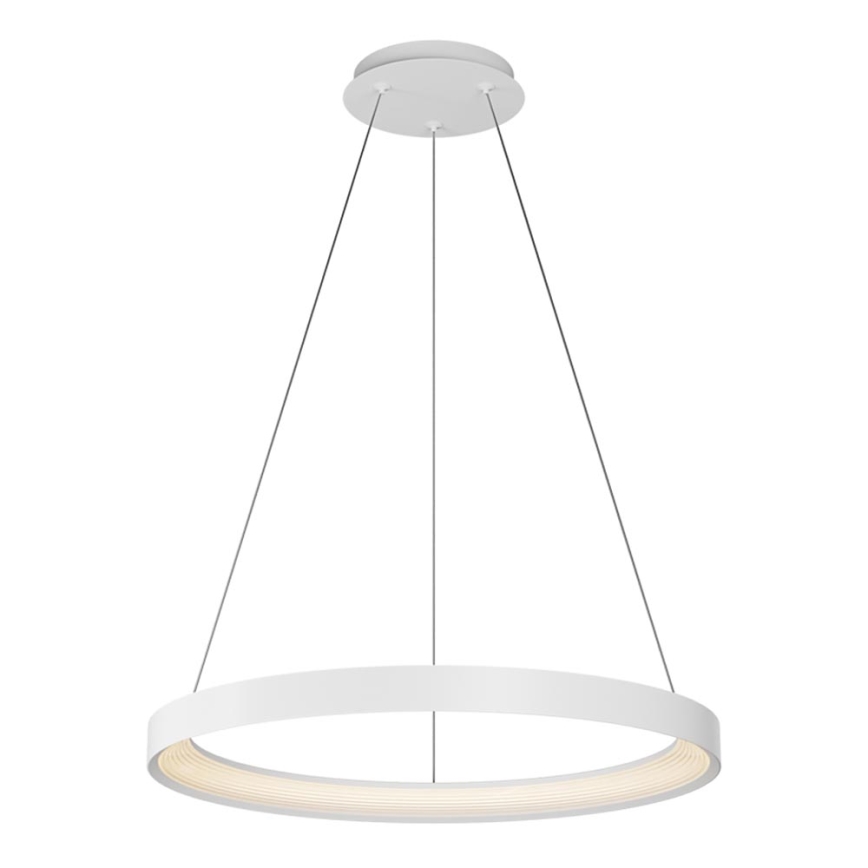Top Light - Lámpara de araña LED regulable ORBIT LED/40W/230V 3000-6500K diá. 50 cm blanco + control remoto