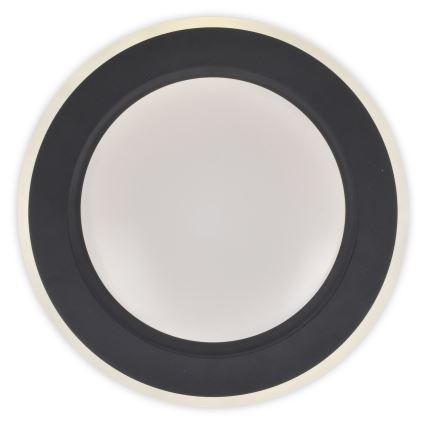 Top Light - Plafón LED regulable NORMAN LED/60W/230V diá. 49 cm negro + control remoto