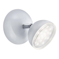 Trio - Foco LED de pared BOLOU LED/3,8W/230V