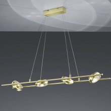 Trio - Lámpara LED colgante LEICESTER 8xLED/4W/230V