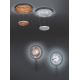 TRIO - LED Lámpara colgante regulable ZENIT 1xLED/19W/230V