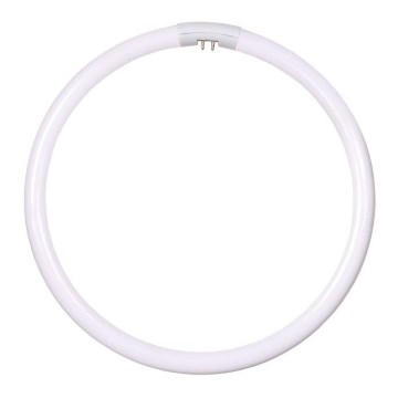 Tubo fluorescente circular T5 G10q/40W/230V 4200K - Fulgur 23326