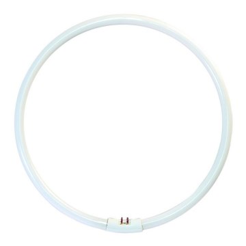 Tubo fluorescente circular T5 G10q/40W/230V 6500K - Fulgur 23327
