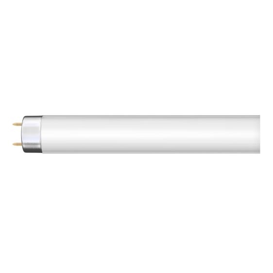 Tubo fluorescente G13/10W/55V - 33 cm