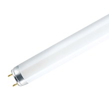 Tubo fluorescente G13/58W/230V 6500K