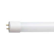 Tubo fluorescente LED G13/10W/230V 4000K