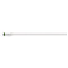 Tubo fluorescente LED Philips T8 G13/14,5W/230V 4000K