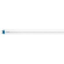 Tubo fluorescente LED Philips T8 G13/20W/230V 3000K 151,3 cm