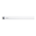 Tubo fluorescente LED Philips T8 G13/8W/230V 4000K 60 cm