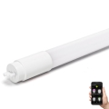Tubo fluorescente LED regulable MESH Smart T8/10W/230V 6500K 60 cm - Aigostar