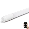 Tubo fluorescente LED regulable MESH Smart T8/18W/230V 6500K 120 cm - Aigostar