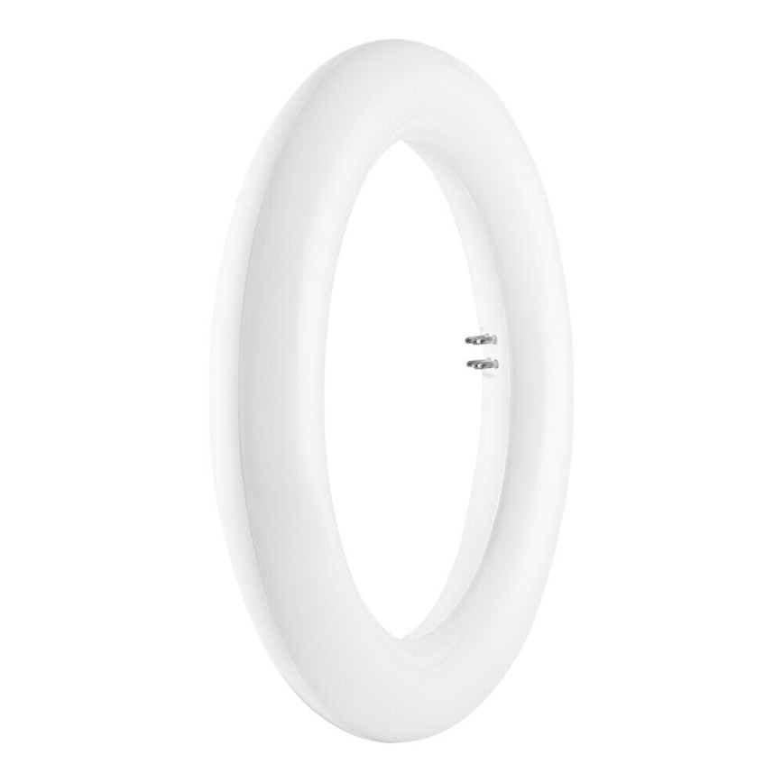 Tubo fluorescente LED SUBSTITUBE T9 G10q/12W/230V 6500K diá. 20,5 cm - Osram