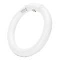 Tubo fluorescente LED T9 G24q-1/22W/230V 6500K - Aigostar