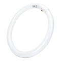 Tubo fluorescente LED T9 G24q-1/32W/230V 6500K - Aigostar
