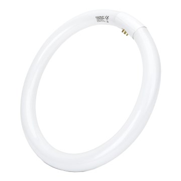 Tubo fluorescente LED T9 G24q-1/32W/230V 6500K - Aigostar