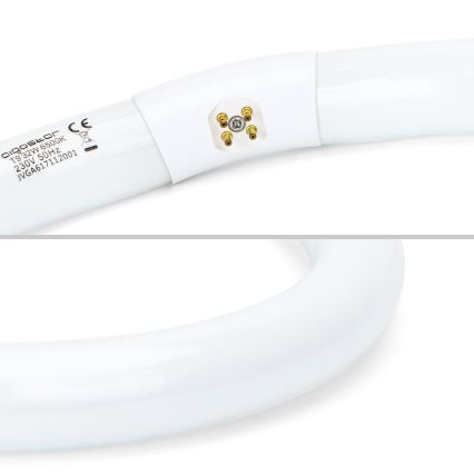 Tubo fluorescente LED T9 G24q-1/32W/230V 6500K - Aigostar