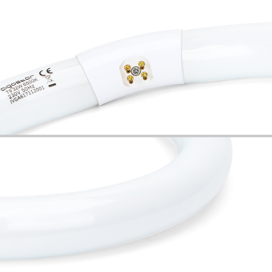 Tubo fluorescente LED T9 G24q-1/32W/230V 6500K - Aigostar