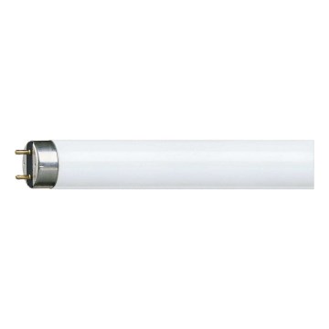 Tubo fluorescente Philips G13/58W/230V