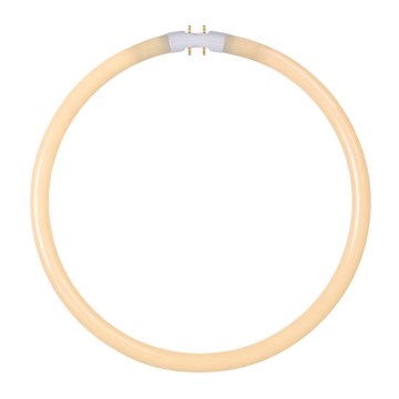 Tubo fluorescente T5 2GX13/40W/230V - Lucide 50105/40/31