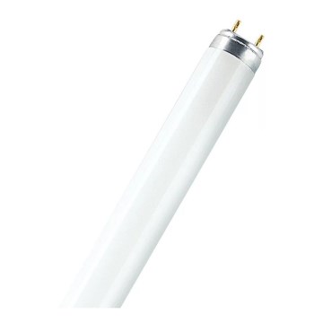 Tubo fluorescente T8 G13/15W/55V 2700K 45,2 cm - Osram