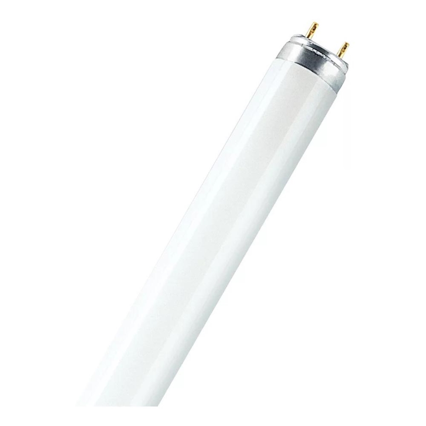 Tubo fluorescente T8 G13/15W/55V 4000K 45 cm - Osram