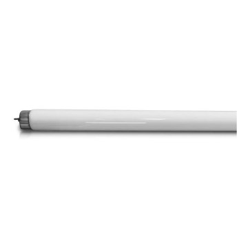 Tubo fluorescente UV para insecto eléctrico T8 G13/20W/230V