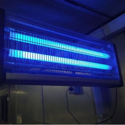 Tubo fluorescente UV para insecto eléctrico T8 G13/20W/230V