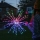 Twinkly - LED RGB Regulable exterior poinsettia SPRITZER 200xLED IP44 Wi-Fi