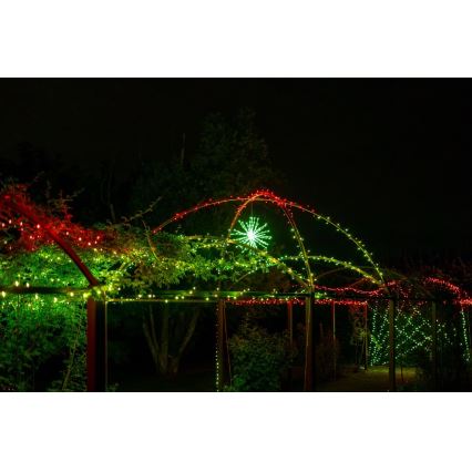 Twinkly - LED RGB Regulable exterior poinsettia SPRITZER 200xLED IP44 Wi-Fi