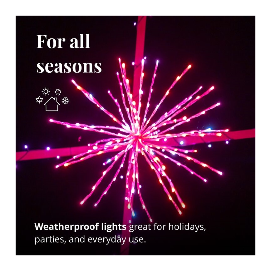 Twinkly - LED RGB Regulable exterior poinsettia SPRITZER 200xLED IP44 Wi-Fi