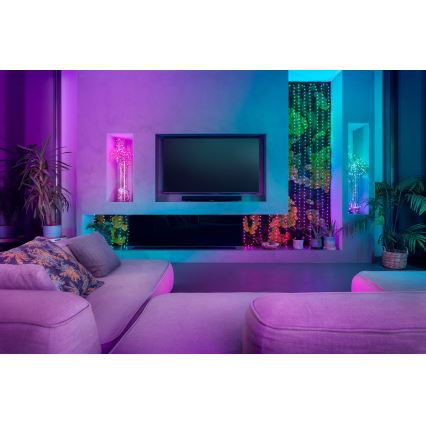 Twinkly TWKP100RGB-G - Cortina de Navidad LED RGB regulable 8 m USB Wi-Fi
