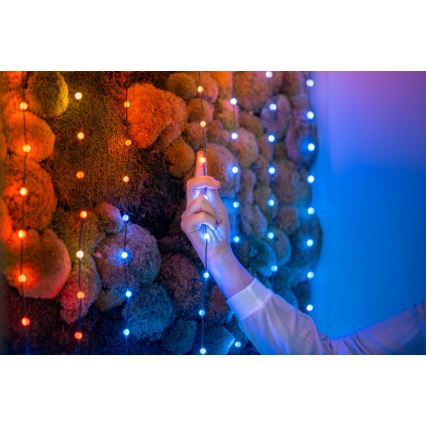 Twinkly TWKP100RGB-G - Cortina de Navidad LED RGB regulable 8 m USB Wi-Fi