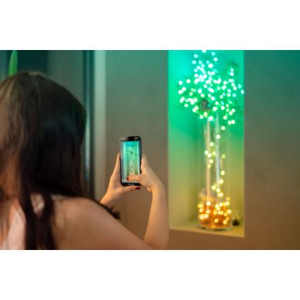 Twinkly TWKP100RGB-G - Cortina de Navidad LED RGB regulable 8 m USB Wi-Fi