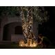 Twinkly - LED Regulable exterior Cinta de Navidad STRINGS 400xLED 35,5m IP44 Wi-Fi