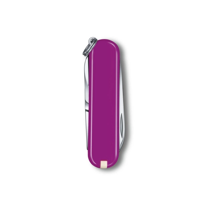Victorinox - Navaja de bolsillo multifuncional CLASSIC SD 5,8 cm/7 funciones morada