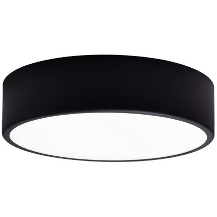 Vidrio de recambio para lámpara de techo CLEO 30 cm tarros
