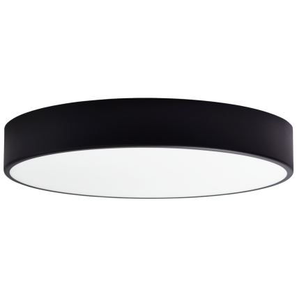 Vidrio de recambio para lámpara de techo CLEO 50 cm tarros