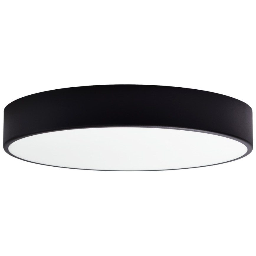 Vidrio de recambio para lámpara de techo CLEO 50 cm tarros
