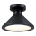 Westinghouse 61238 - Plafón de exterior WALTER 1xE27/60W/230V IP44