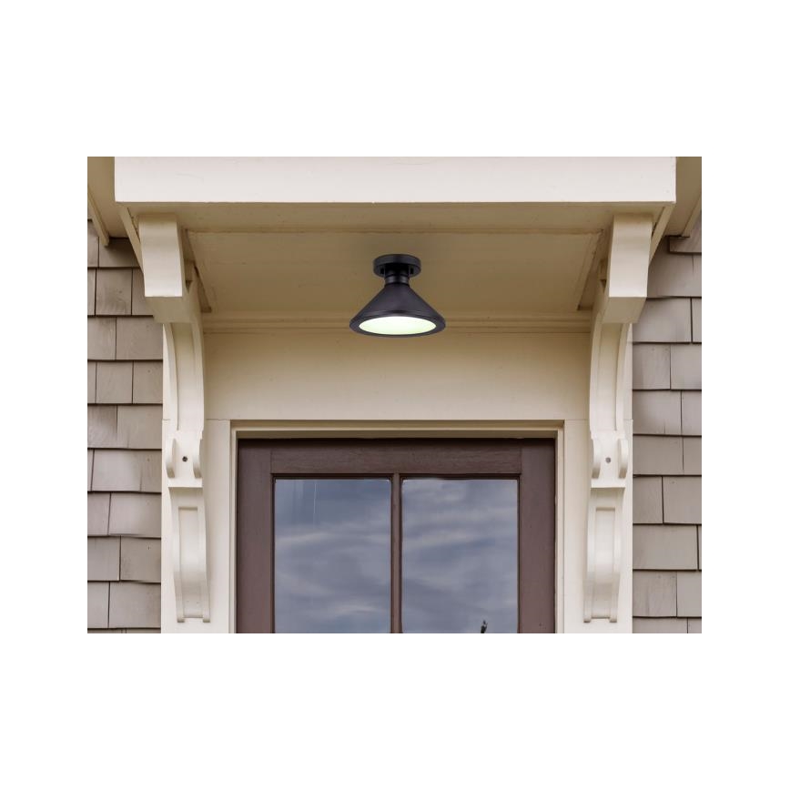 Westinghouse 61238 - Plafón de exterior WALTER 1xE27/60W/230V IP44